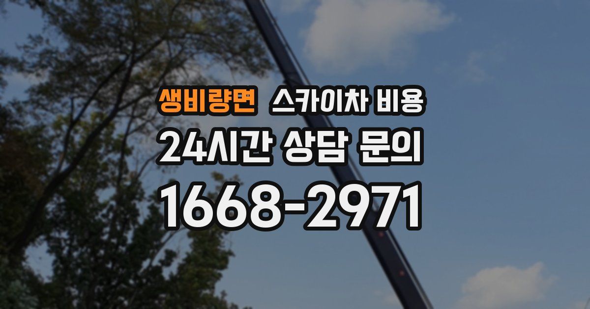 생비량면 스카이차 비용