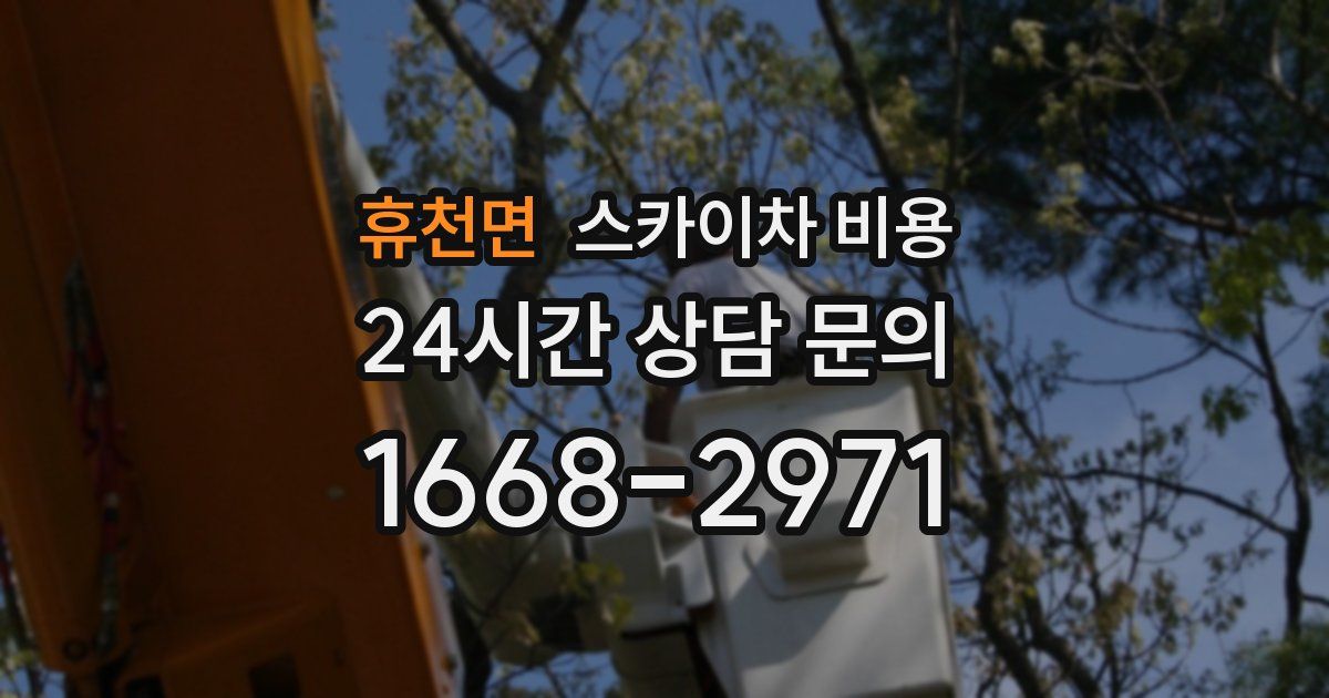 휴천면 스카이차 비용