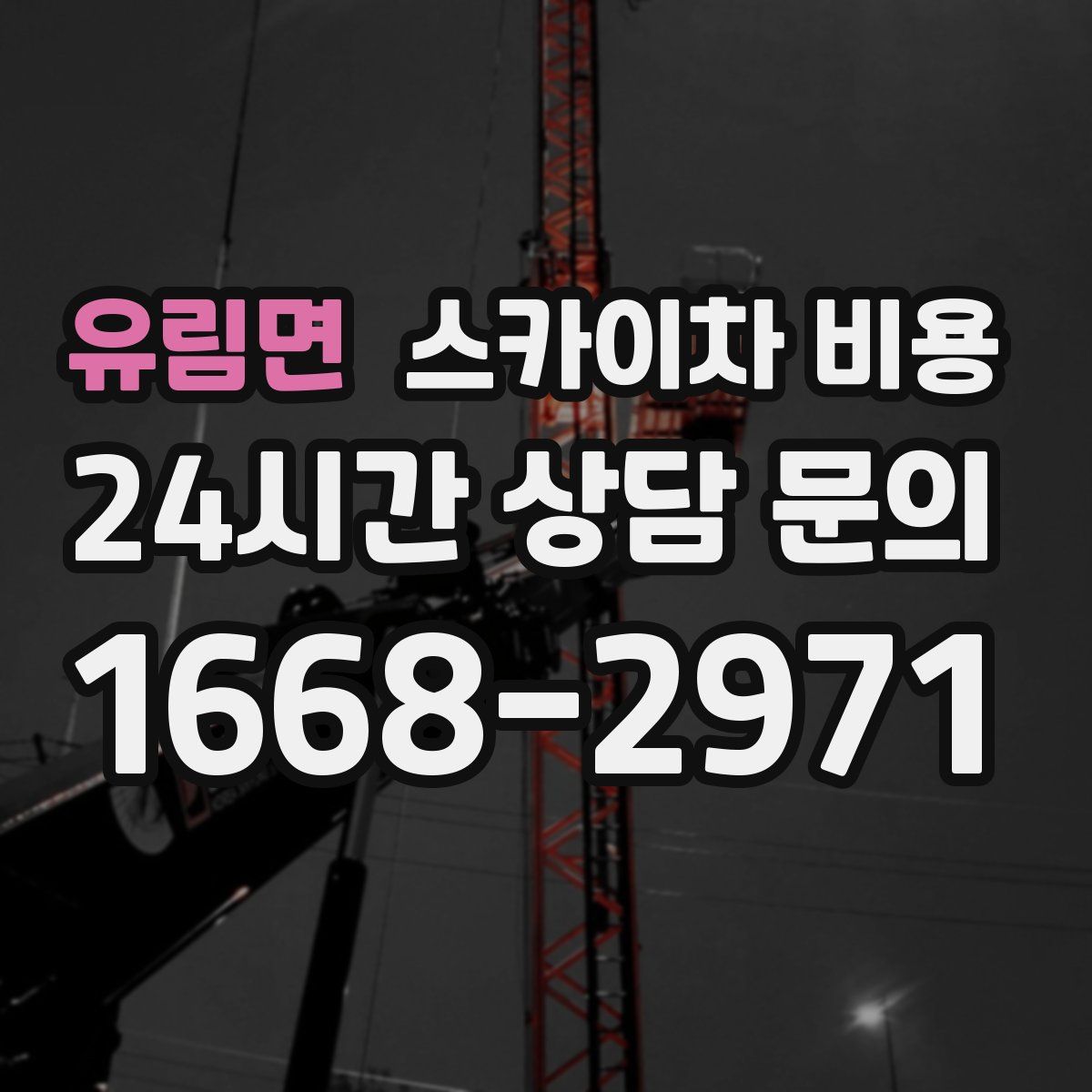 유림면 스카이차 비용