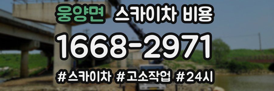 웅양면 스카이차 비용