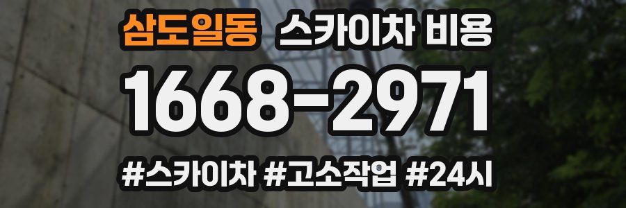 삼도일동 스카이차 비용