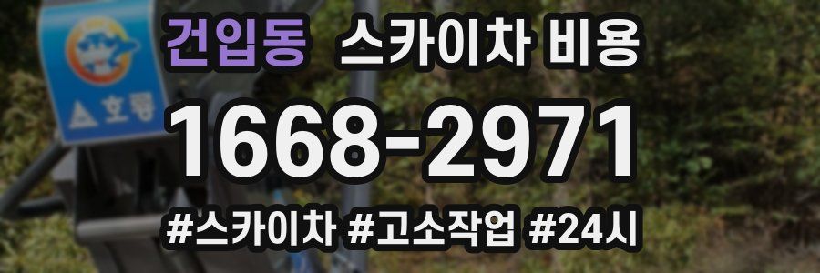 건입동 스카이차 비용