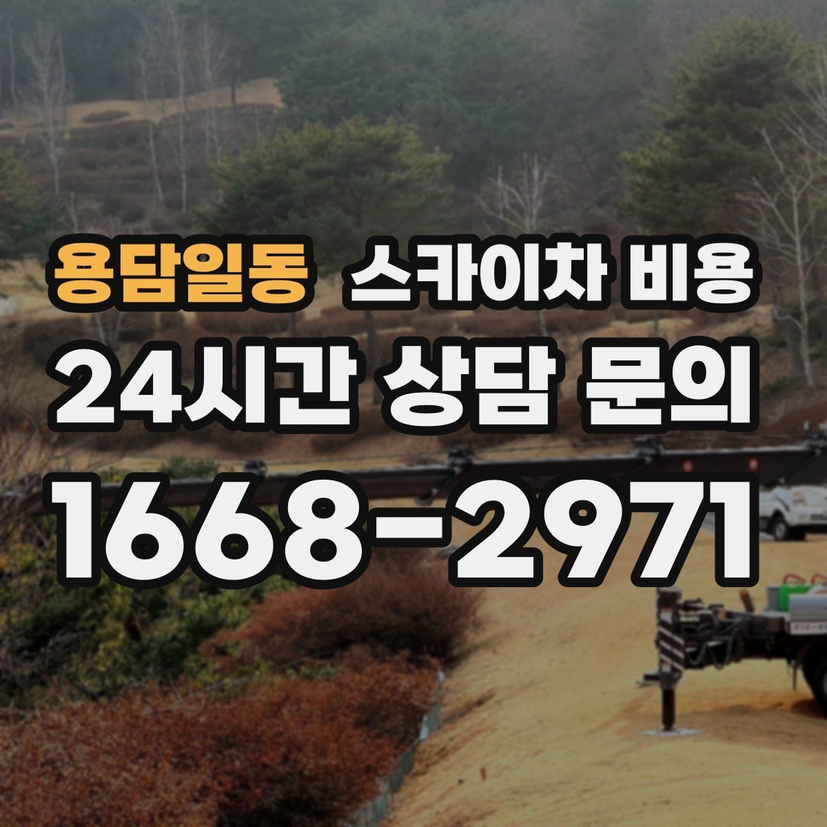 용담일동 스카이차 비용 나무 가지치기 작업은 견적이 어떻게 나올까
