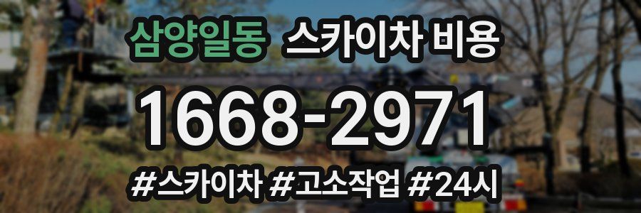 삼양일동 스카이차 비용