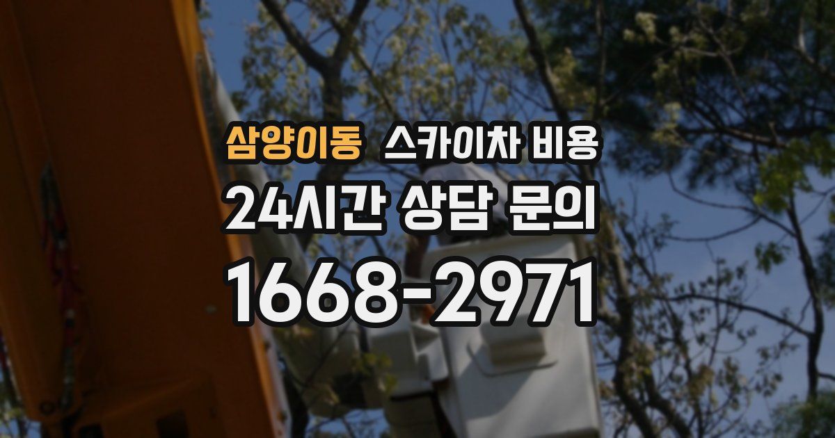 삼양이동 스카이차 비용