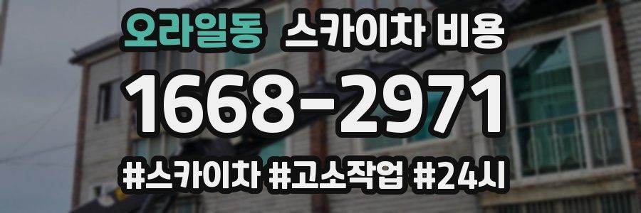 오라일동 스카이차 비용