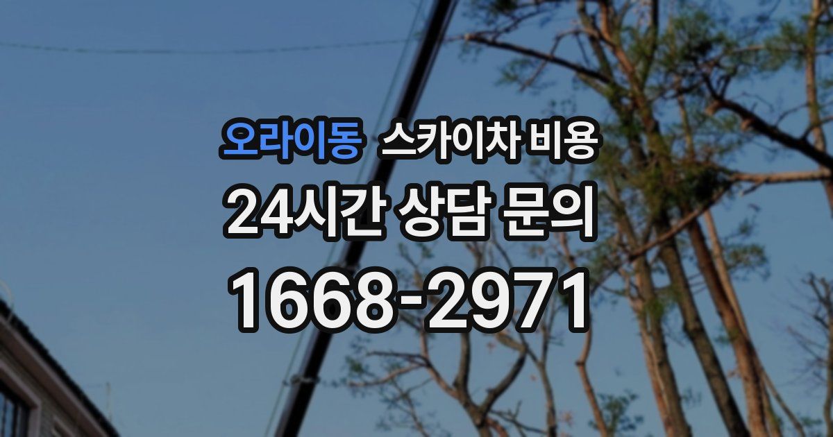 오라이동 스카이차 비용