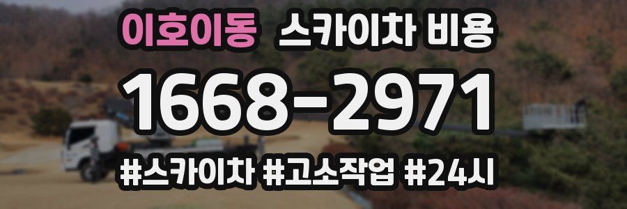 이호이동 스카이차 비용