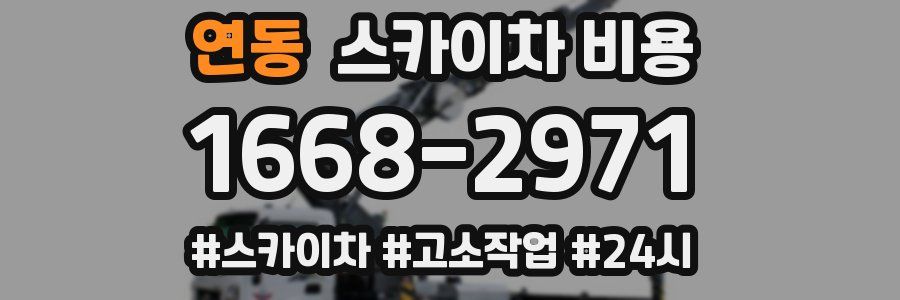 연동 스카이차 비용