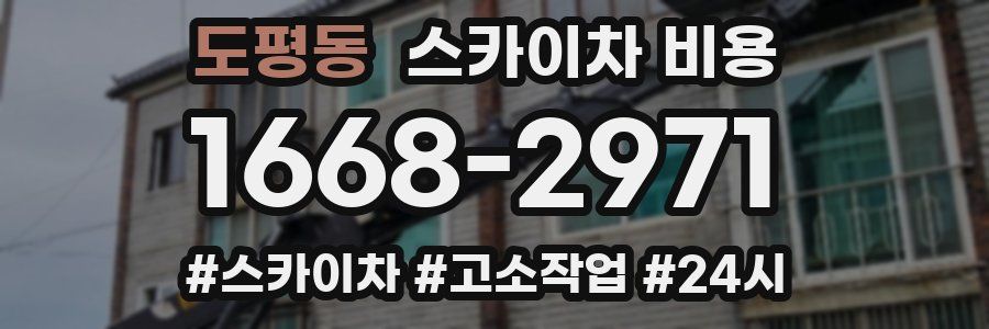 도평동 스카이차 비용