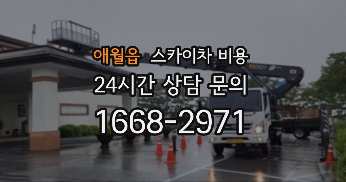 애월읍 스카이차 비용