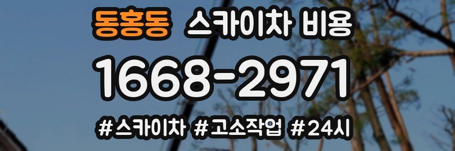 동홍동 스카이차 비용