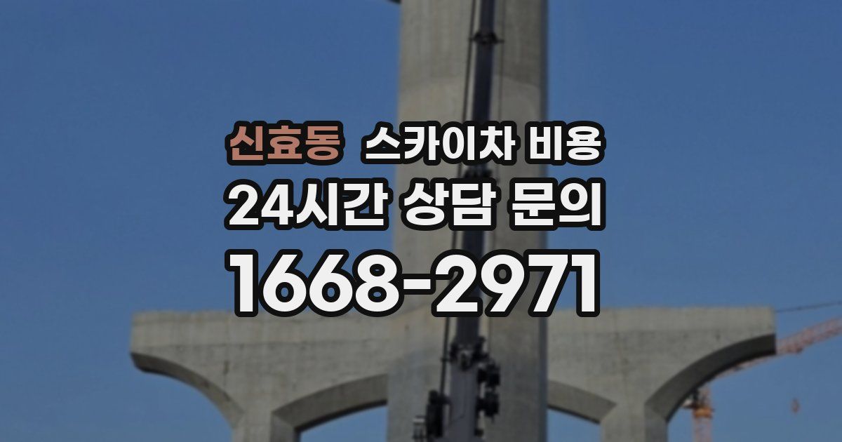 신효동 스카이차 비용