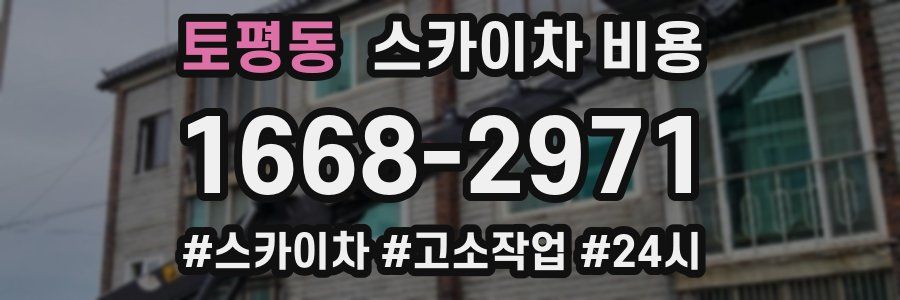 토평동 스카이차 비용