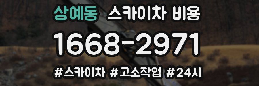 상예동 스카이차 비용