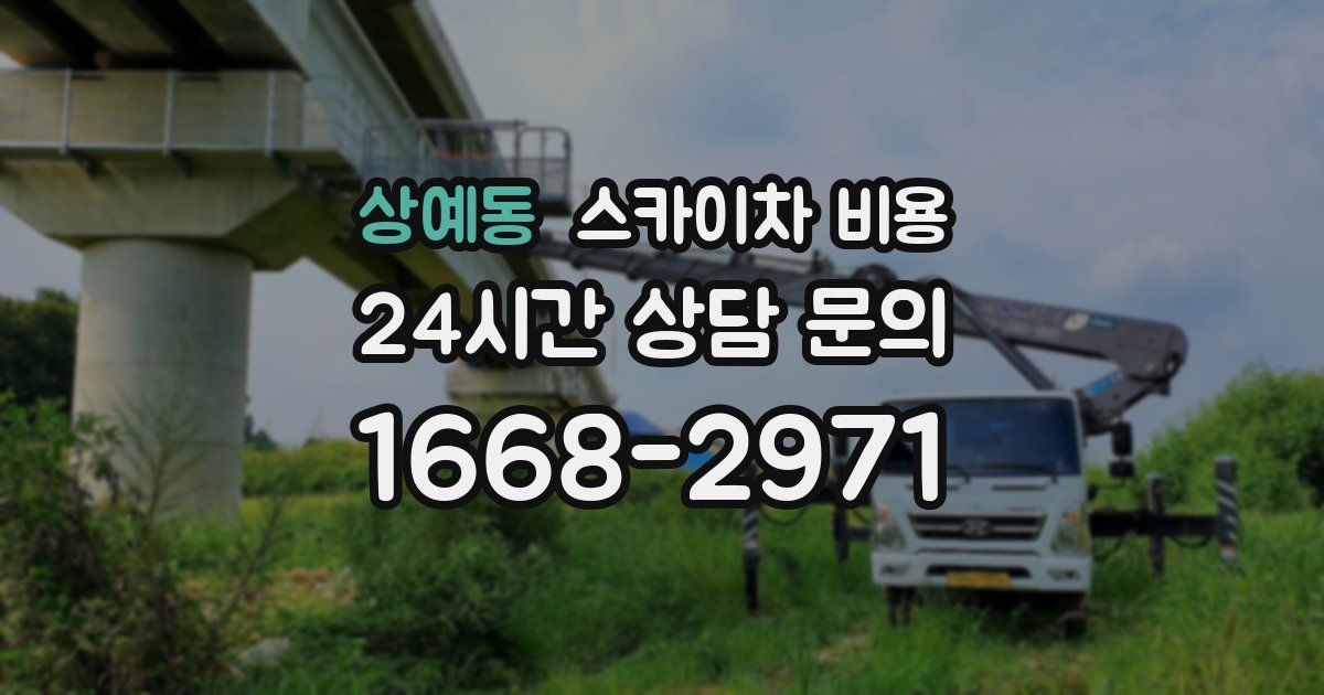 상예동 스카이차 비용