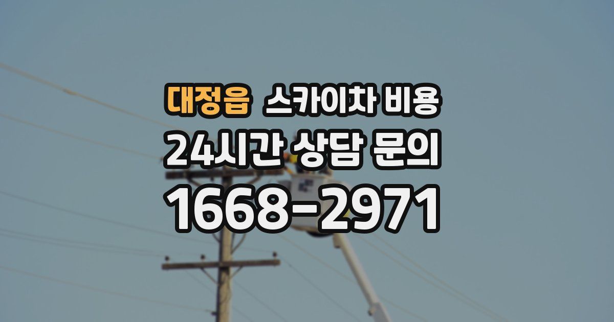 대정읍 스카이차 비용