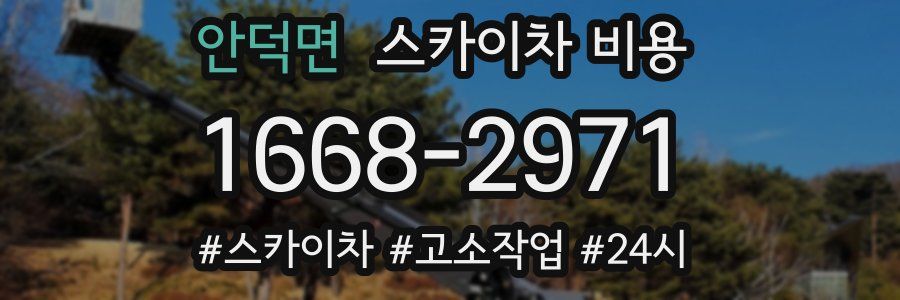 안덕면 스카이차 비용