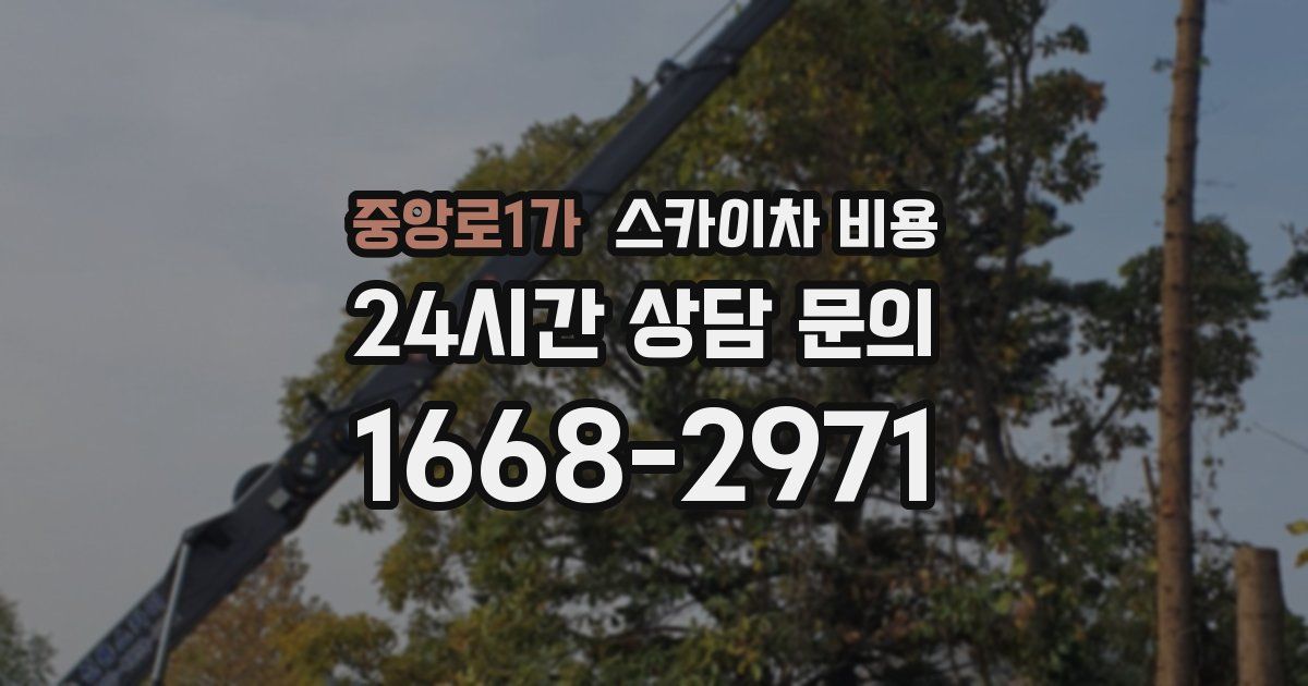 중앙로1가 스카이차 비용