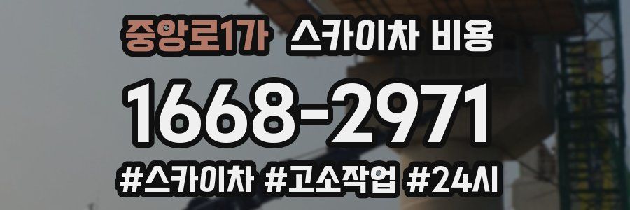 중앙로1가 스카이차 비용