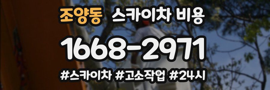 조양동 스카이차 비용