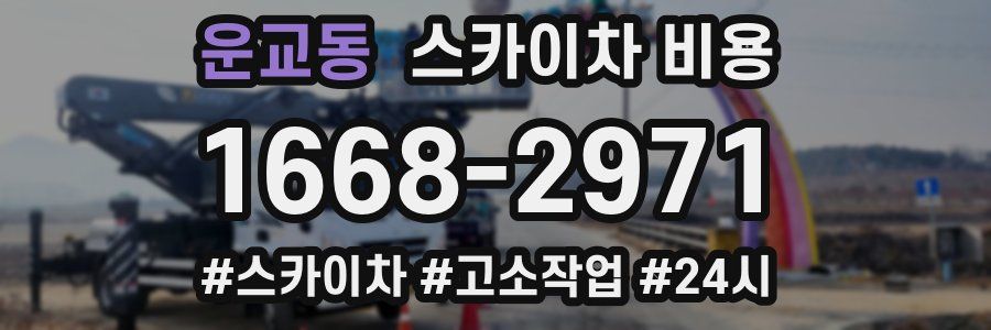 운교동 스카이차 비용