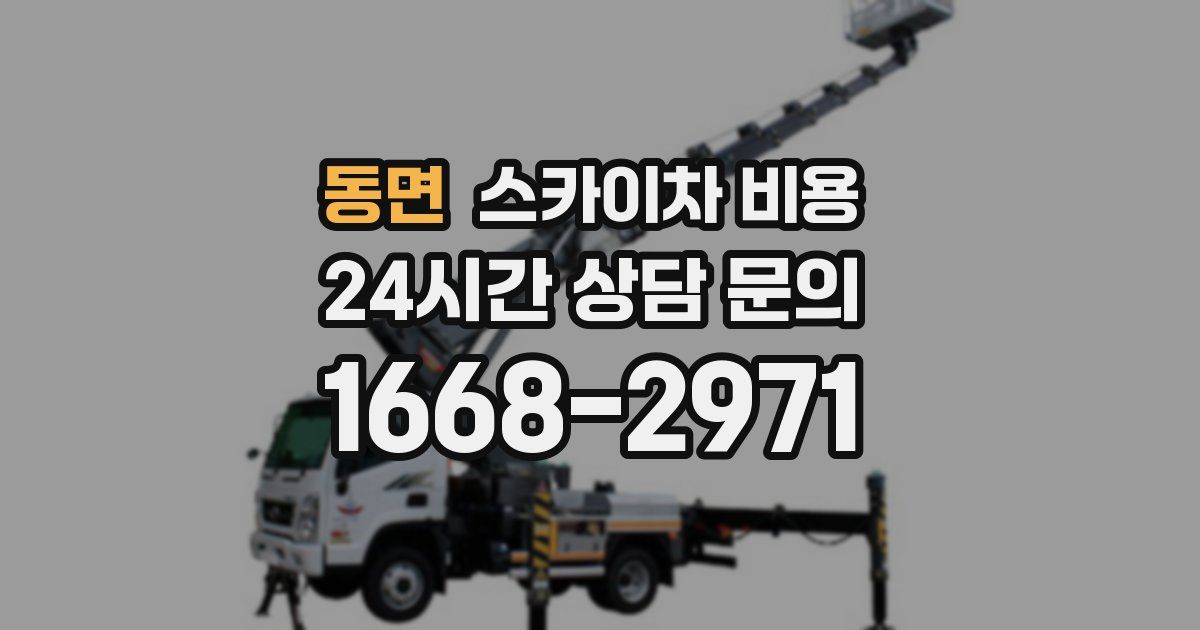 동면 스카이차 비용