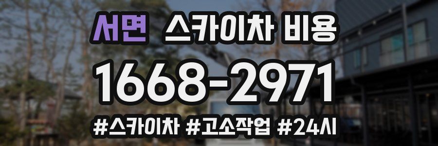 서면 스카이차 비용