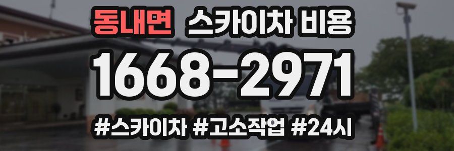 동내면 스카이차 비용