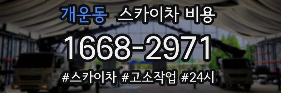 개운동 스카이차 비용