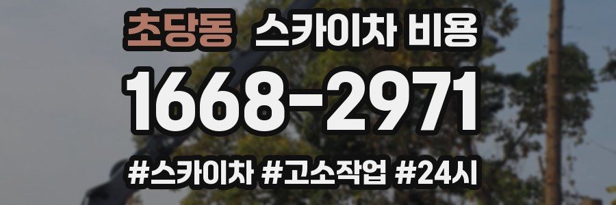 초당동 스카이차 비용