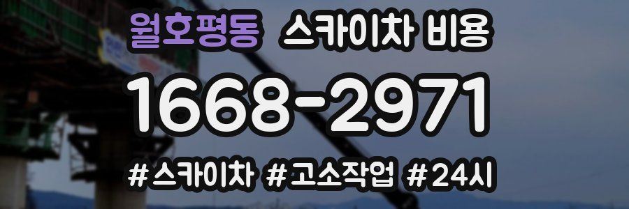 월호평동 스카이차 비용