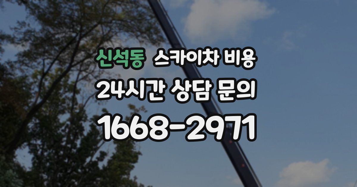 신석동 스카이차 비용