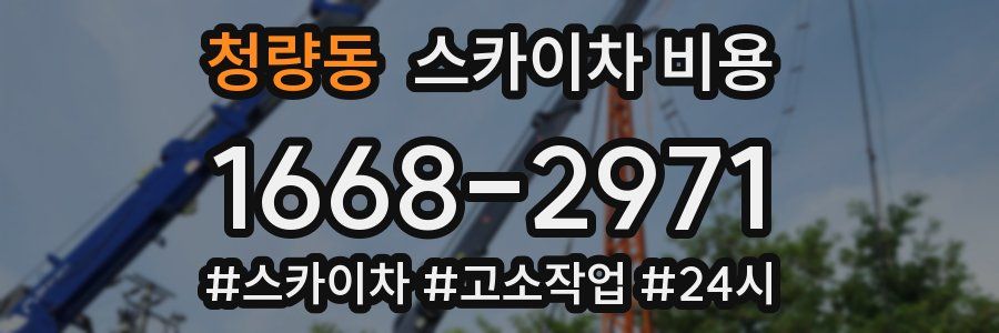 청량동 스카이차 비용