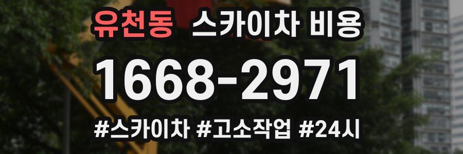 유천동 스카이차 비용