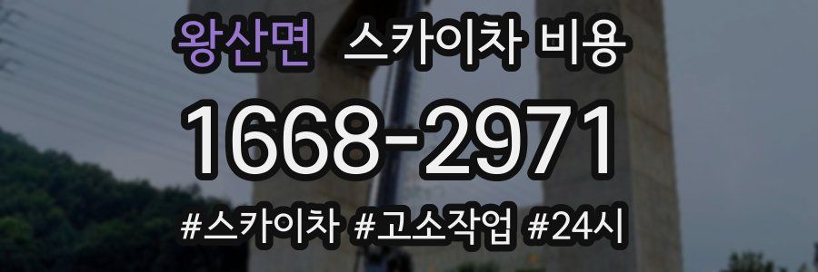 왕산면 스카이차 비용