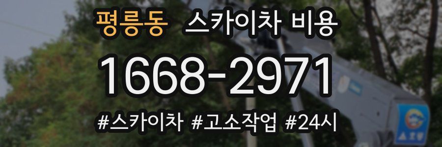 평릉동 스카이차 비용