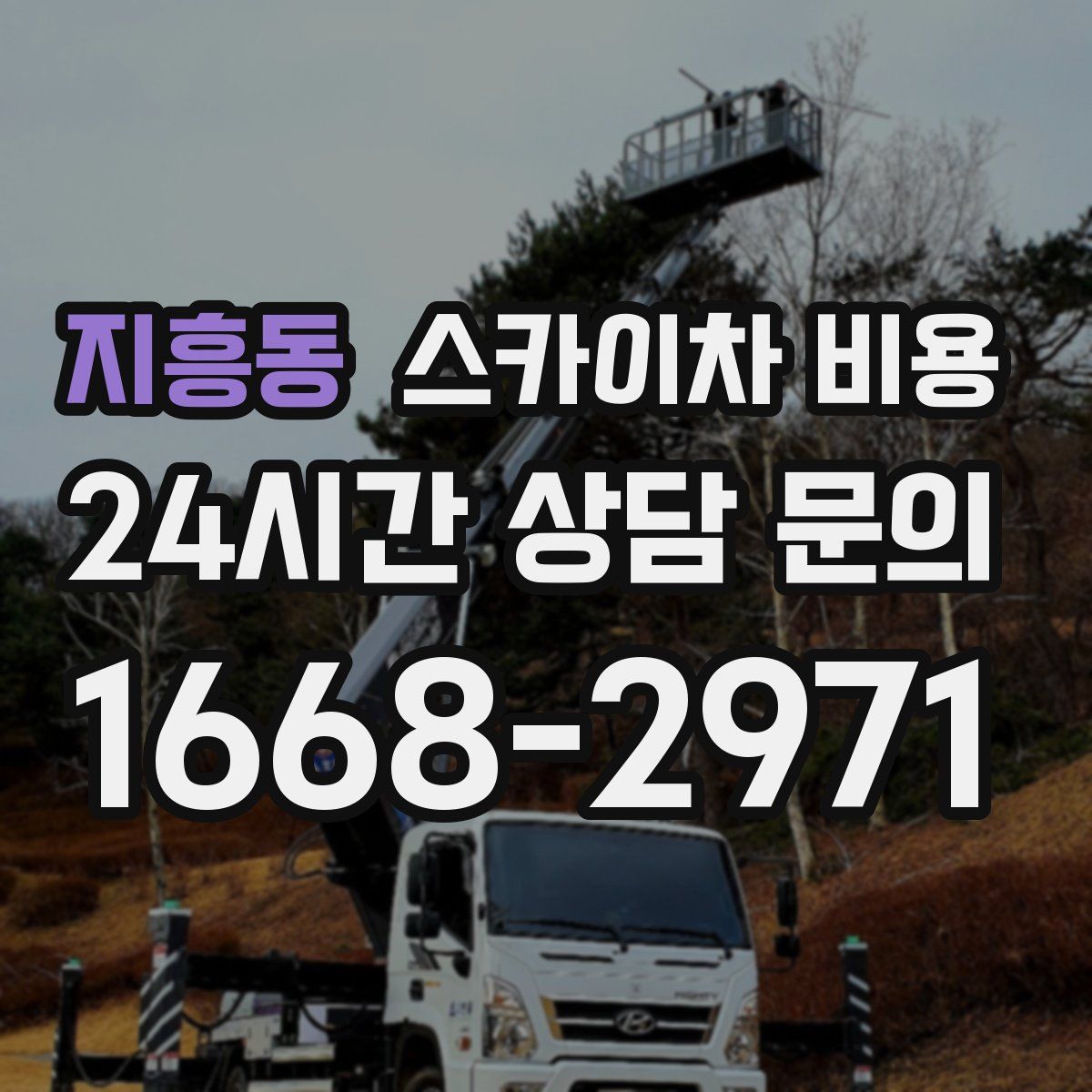 지흥동 스카이차 비용