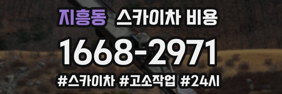 지흥동 스카이차 비용