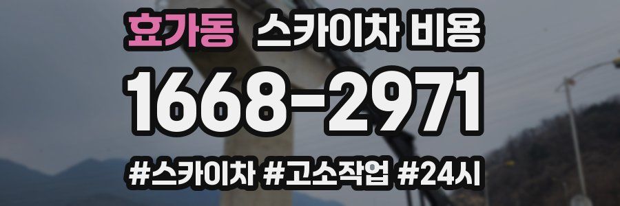 효가동 스카이차 비용