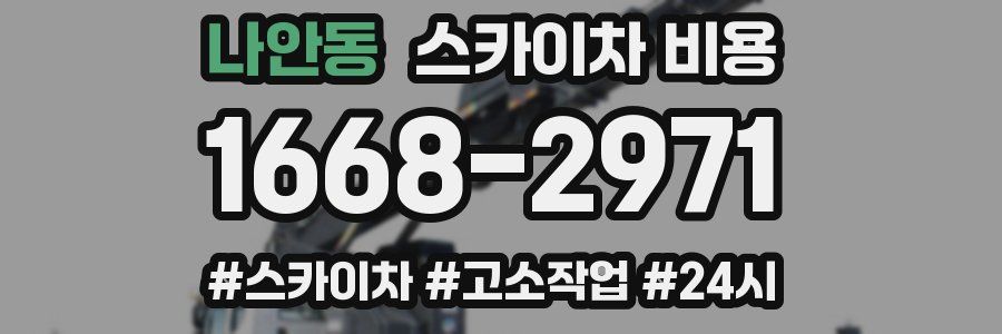 나안동 스카이차 비용
