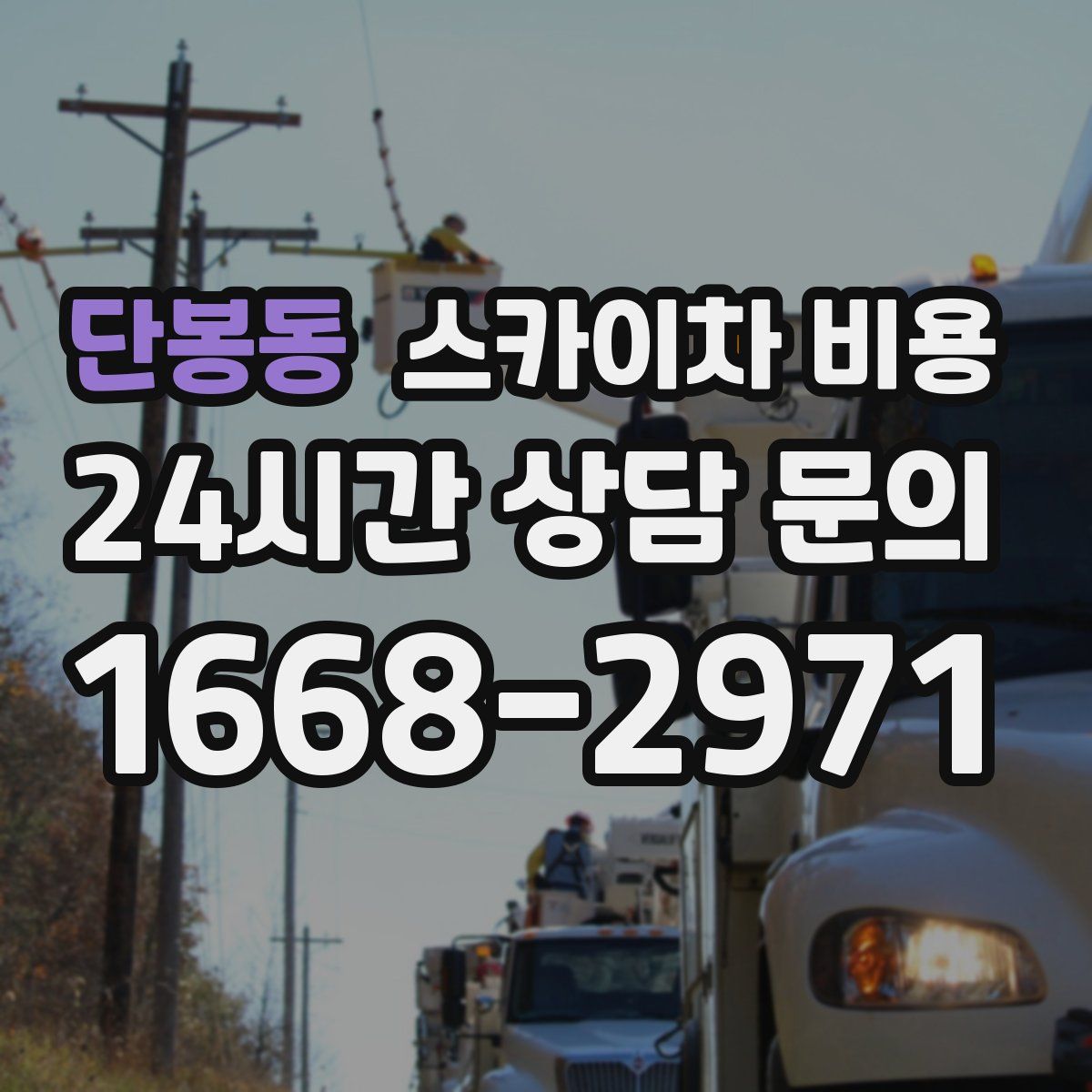 단봉동 스카이차 비용