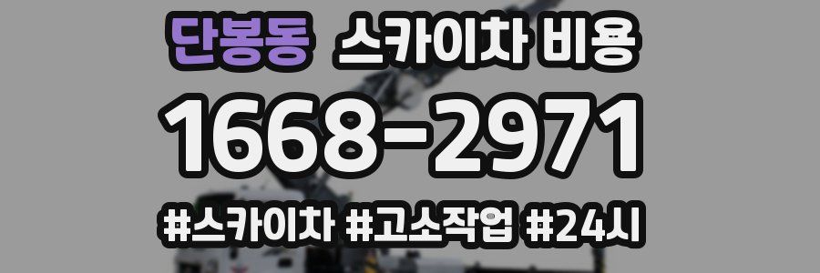 단봉동 스카이차 비용