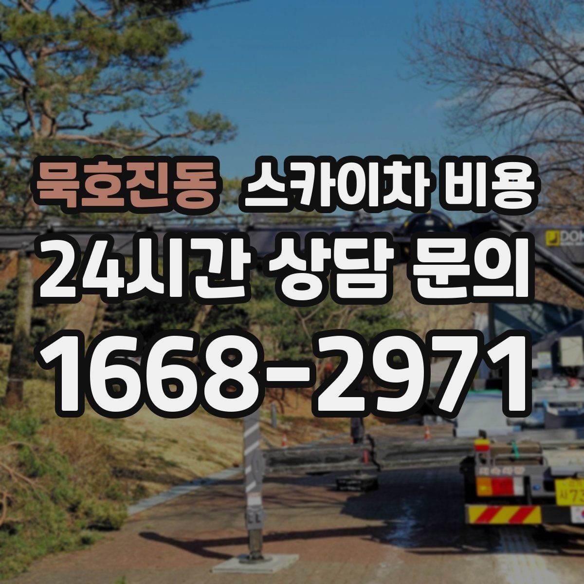 묵호진동 스카이차 비용 견적 비교할 때 꼭 같은 조건인지 확인하세요