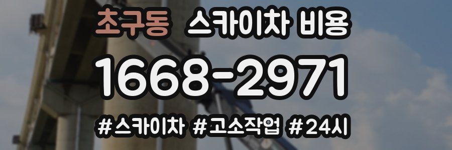 초구동 스카이차 비용