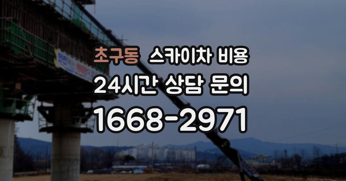 초구동 스카이차 비용