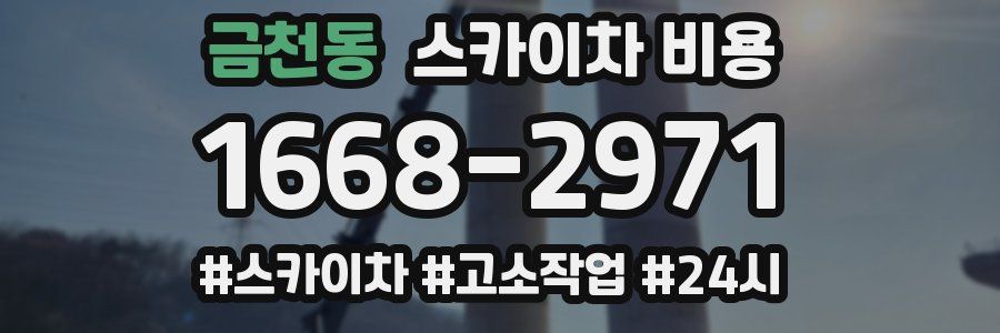 금천동 스카이차 비용