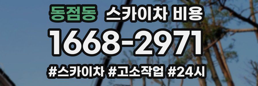 동점동 스카이차 비용