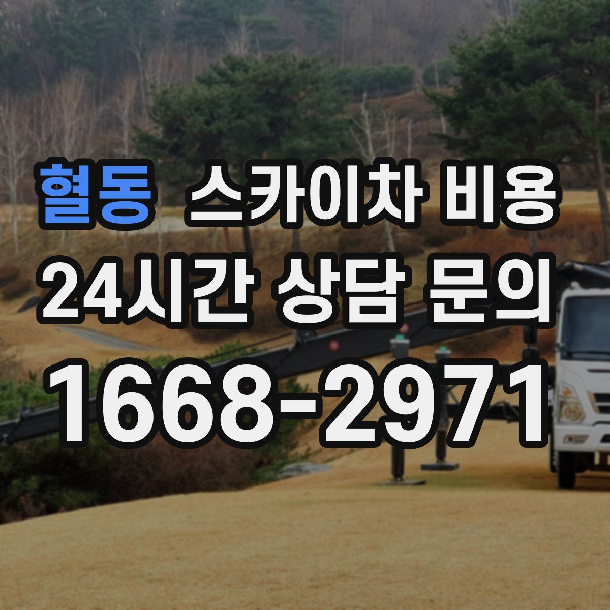 혈동 스카이차 비용