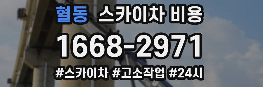 혈동 스카이차 비용